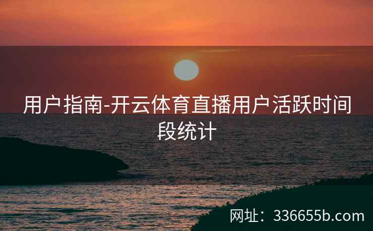 用户指南-开云体育直播用户活跃时间段统计